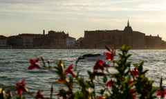 Venice foto